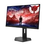 24,5" Lenovo Legion 25-10