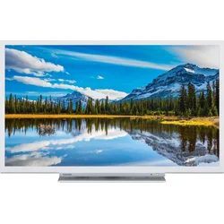 24" Toshiba 24W3864DG