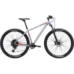 29" SILVERBACK 2019 Sola 1 - 18" - Grey/watermelon