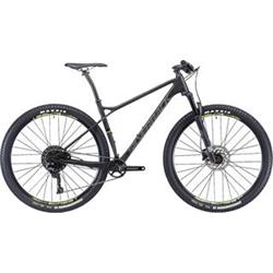 29"  SILVERBACK 2019 Superspeed 2.0 - 20,5"/L - raw carbon/ spring lime/ gunmetal