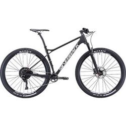 29"  SILVERBACK 2020 Superspeed 1.0 - 18,5"/M - raw carbon/ arctic white/ aston black