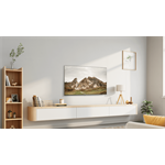 43" TCL 43L5A