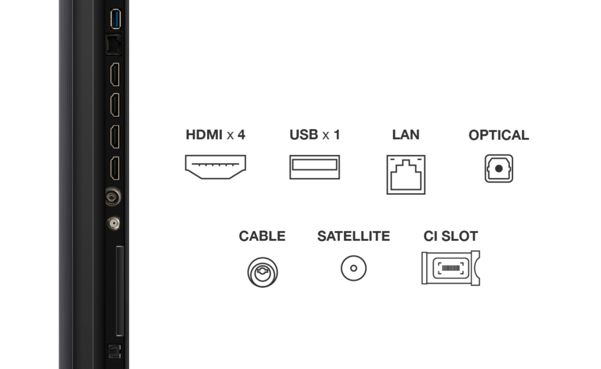 55" TCL 55Q6C