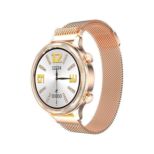 CARNEO Gear+ Deluxe/Gold/Elegant Band/Gold