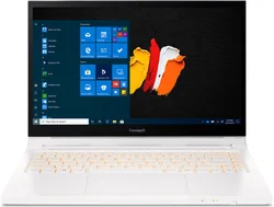 Acer ConceptD 3 Ezel (CC314-72G-79WQ) (NX.C5JEC.001)