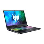 Acer Predator Helios 300 (PH317-55-790N) (NH.QB7EC.007)