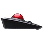 Adesso iMouse T50