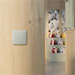 Ajax SoloButton (1-gang/2-way) - Samostatné tlačítko pro LightSwitch, ústřicová