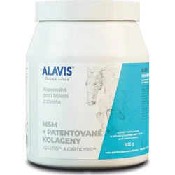 Alavis MSM pro koně 600g 8594191410066 - Sportovní výživy