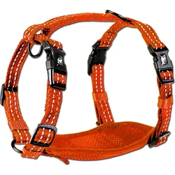 Alcott reflexní postroj pro psy, oranžový, velikost M