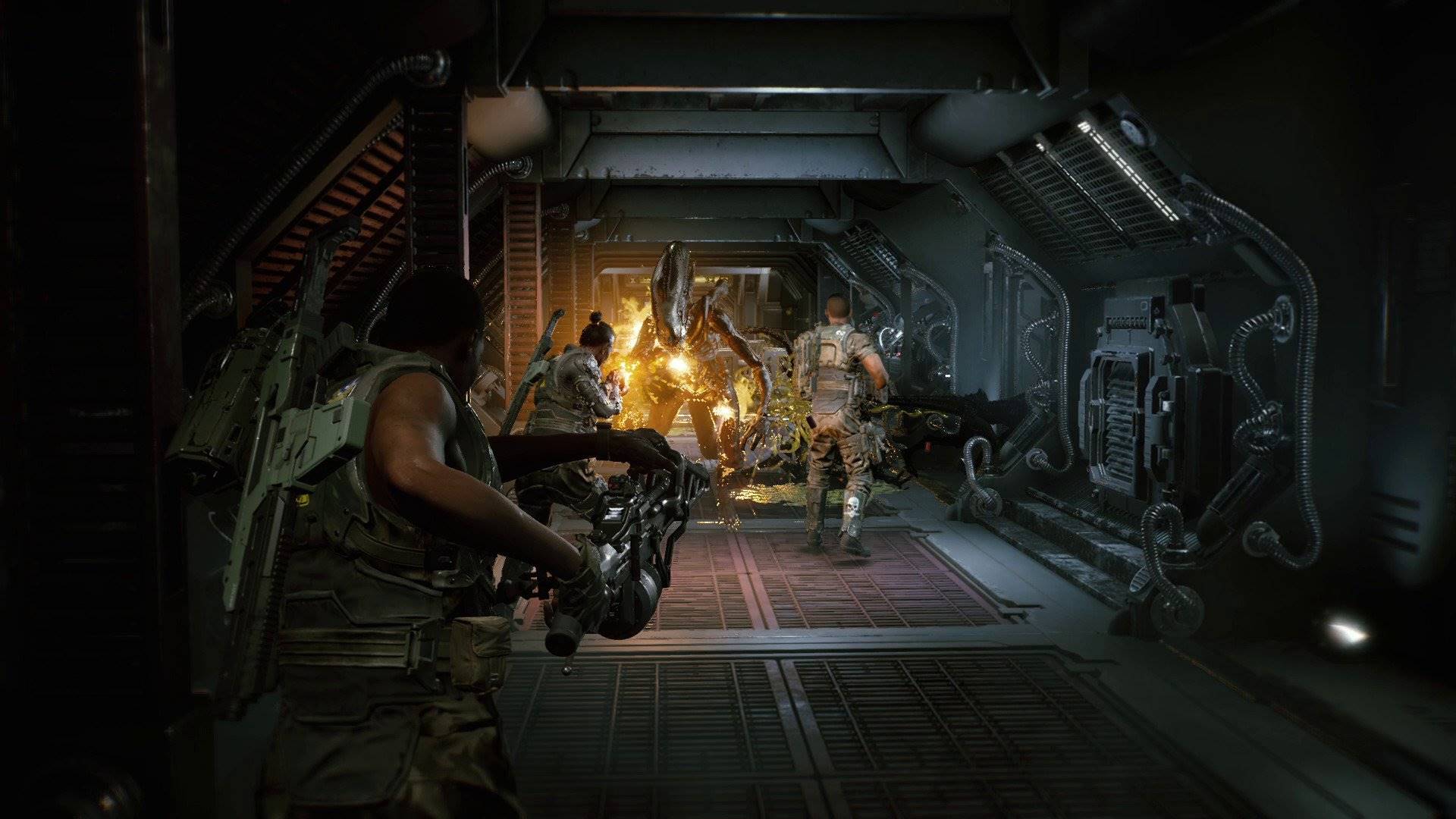 Aliens Fireteam Elite Deluxe Edition elektronická licence