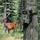 Apeman fotopasca Trail Cam H45