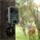 Apeman fotopasca Trail Cam H55