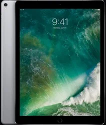 APPLE iPad Pro 12,9" Wi-Fi 256GB Space Grey (mp6g2fd/a)