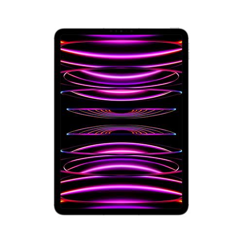 Apple iPad Pro M2 2022 11" Wi-Fi+Cellular 2TB Space Grey (MNYL3FD/A)