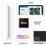 Apple iPad Pro M2 2022 11" Wi-Fi+Cellular 512GB Silver (MNYH3FD/A)