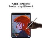 Apple iPad Pro M4 2024 13" Wi-Fi 2TB Strieborné sklo s nano textúrou (MWRJ3HC/A)