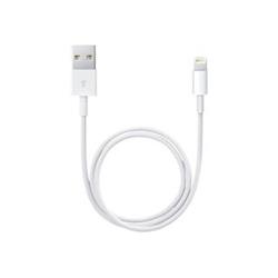 Apple Lightning datový kabel USB - 0,5m (me291zm/a)