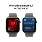 Apple Watch Series 10 GPS + Cellular 46mm Natural Titanium Case with Stone Grey Sport Band - M/L (MWYA3QC/A)