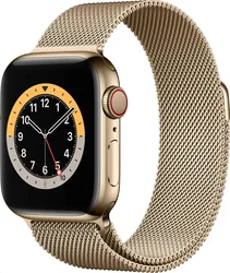 APPLE Watch Series 6 GPS+Cellular,40mm Gold Stainless Steel Case with Gold Milanese Loop