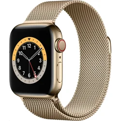 APPLE Watch Series 6 GPS+Cellular,40mm Gold Stainless Steel Case with Gold Milanese Loop