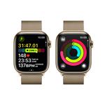 Apple Watch Series 9 45 mm Cellular Gold z nehrdzavejúcej ocele so zlatým milánskym napínačom