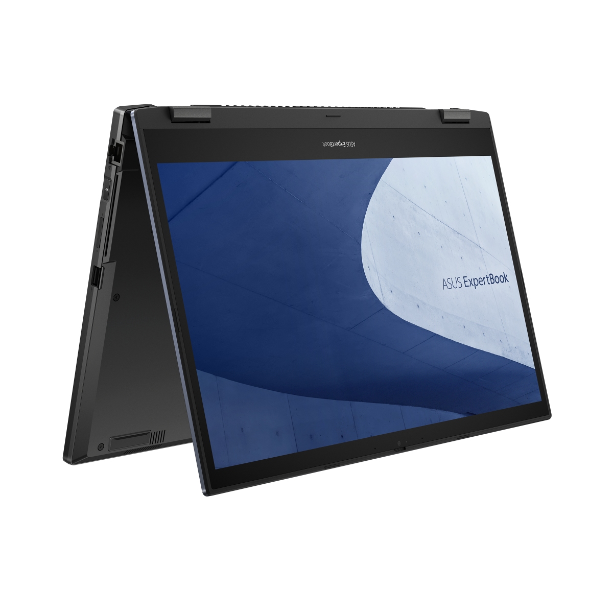 ASUS ExpertBook L2 Flip L2502FYA-E60002X Black