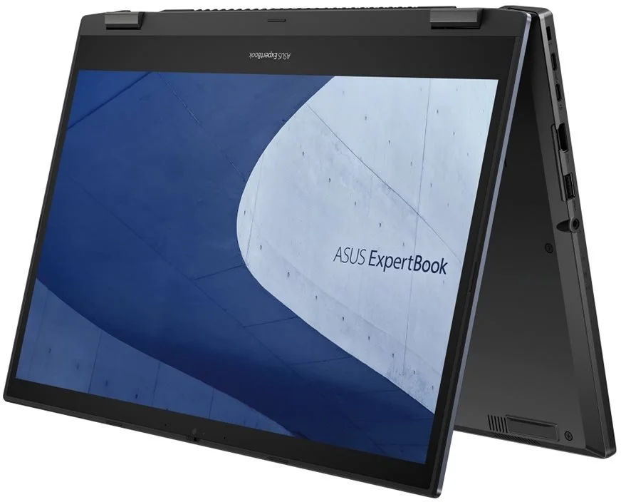 ASUS ExpertBook L2 Flip L2502FYA-E60002X Black