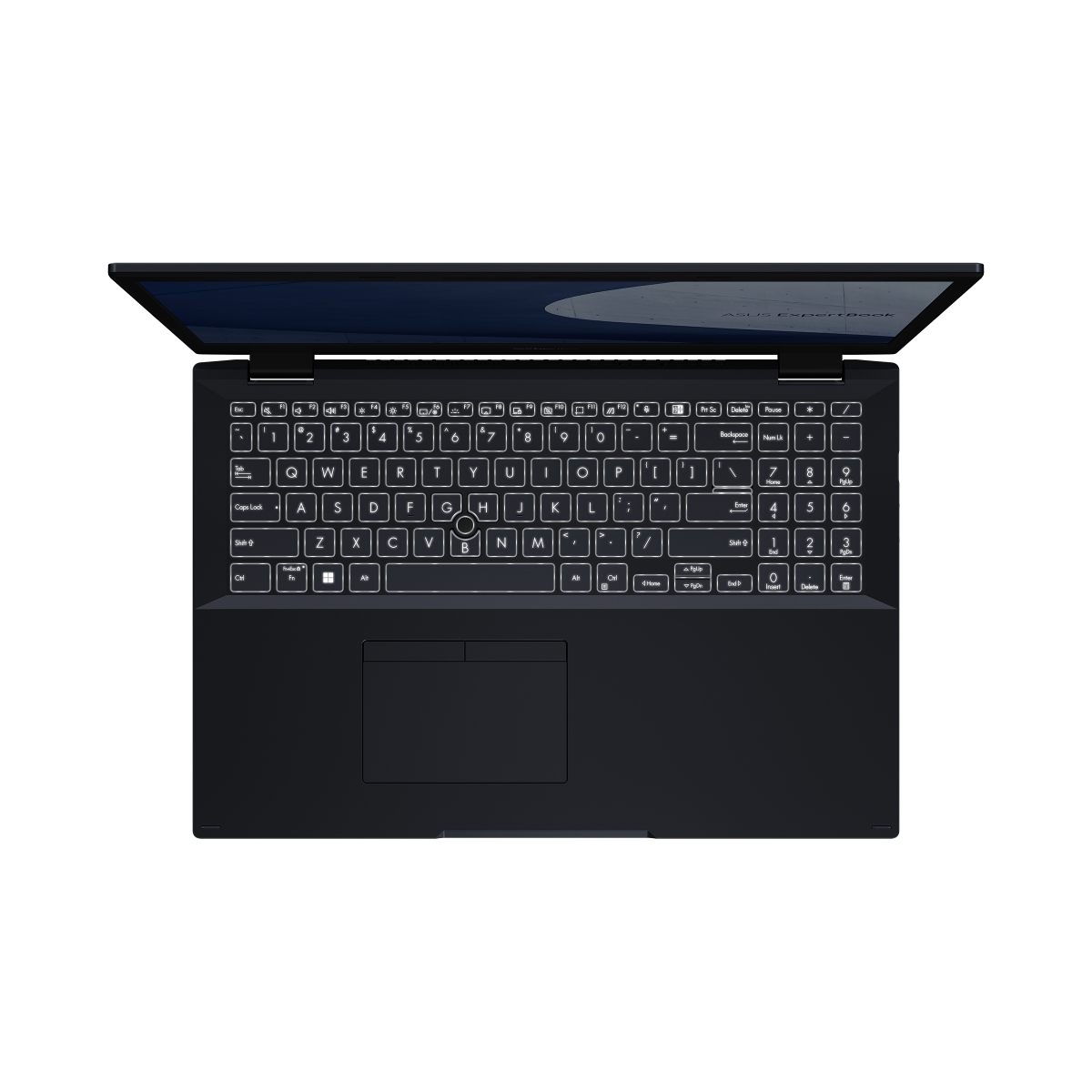 ASUS ExpertBook L2 L2502CYA-BQ0003X čierna