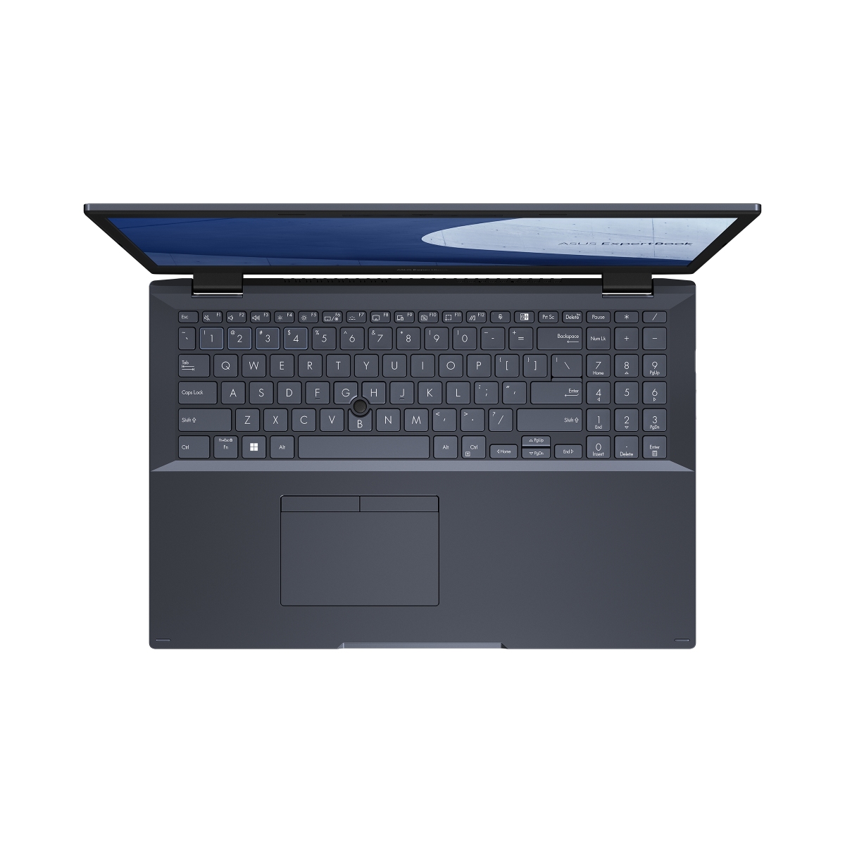 ASUS ExpertBook L2 L2502CYA-BQ0072 Black