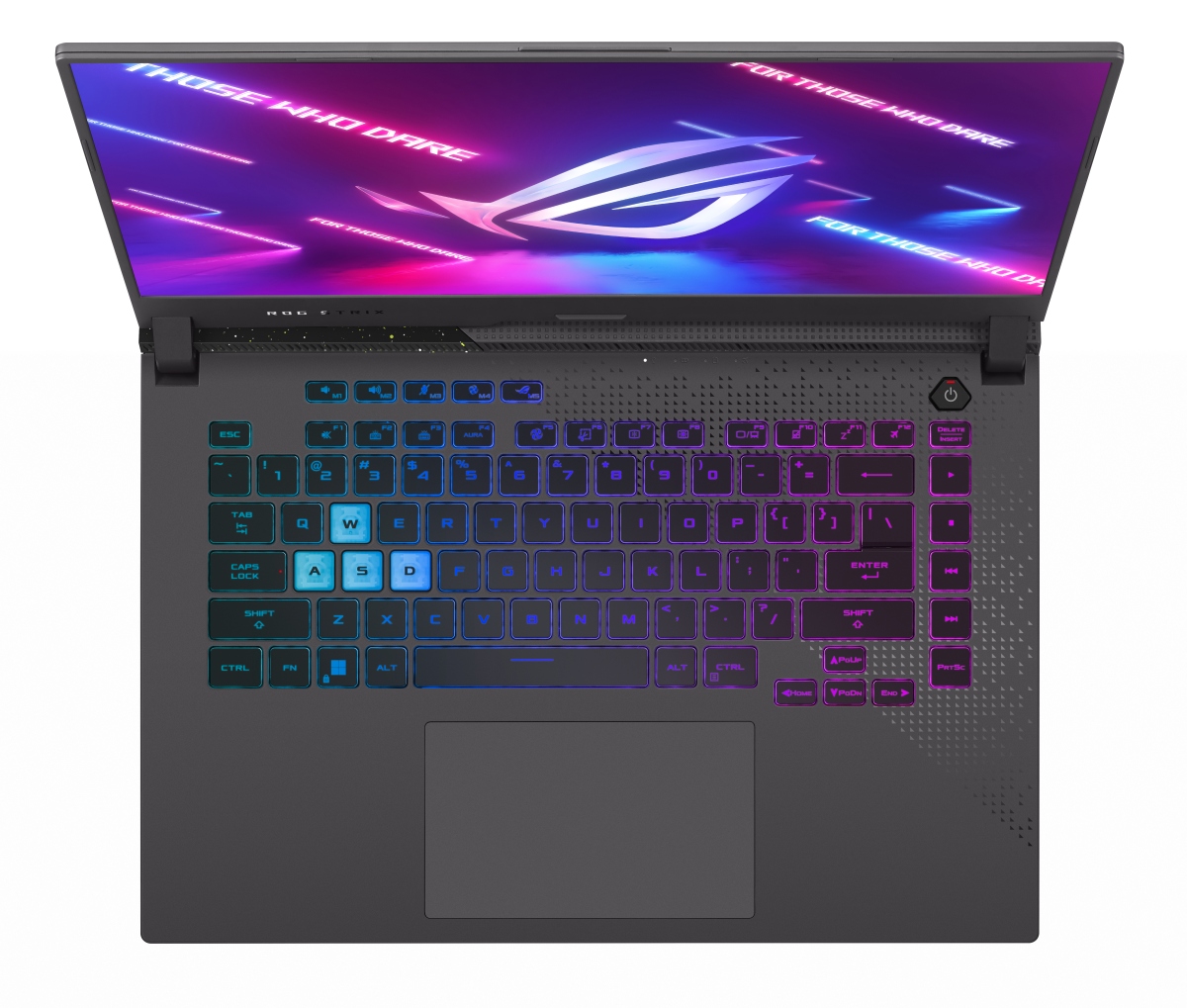 Asus ROG Strix G15 G513RM-HF329W sivá