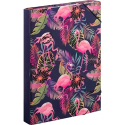 BAAGL Zakladače na školské zošity A4 Jumbo Flamingo
