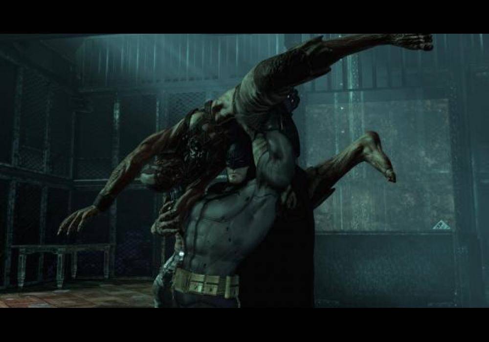 Batman Arkham Asylum GOTY elektronická licence