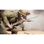 Battlefield V