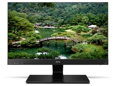 BenQ EW2440L 24" (9H.LAGLB.QBE)