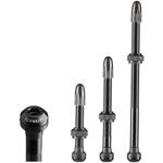 Bezdušový ventil Schwalbe 80 mm sada 2 ks