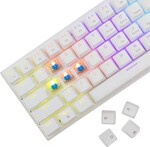 Biely žralok WAKIZASHI 2, biely (US + modré spínače)