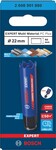 BOSCH Multi Material Punch EXPERT pre Power Change Plus, 22 × 60 mm (2.608.901.880)