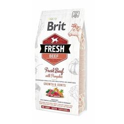 Brit Fresh Beef with Pumpkin Puppy Large 2,5kg granule pro štěňata