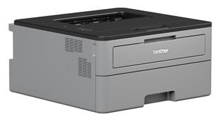Brother HL-L2312D