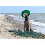 Buster Límec ochranný Green Ocean Collar 20cm