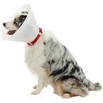 Buster Límec ochranný neprůhledný Classic Collar 20cm