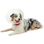 Buster Límec ochranný neprůhledný Classic Collar 20cm