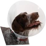 Buster Límec ochranný plastový Classic Collar 20cm