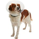Buster Límec ochranný plastový Clic Collar 20cm