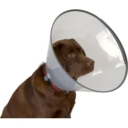Buster Límec ochranný plastový Comfort Collar 7,5cm