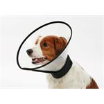 Buster Límec ochranný plastový Complete Collar 20cm