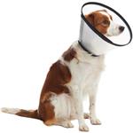 Buster Límec ochranný plastový Quick Collar 12,5cm