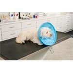 Buster Límec ochranný Soft Flex Collar 15cm