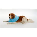 Buster Límec ochranný Soft Flex Collar 15cm